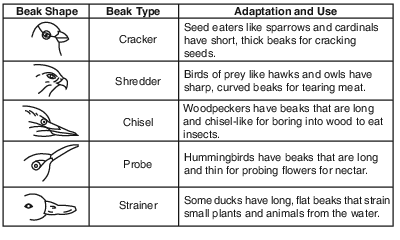 labs, lab, the beaks of finches fig: lenv12013-exam_g29.png